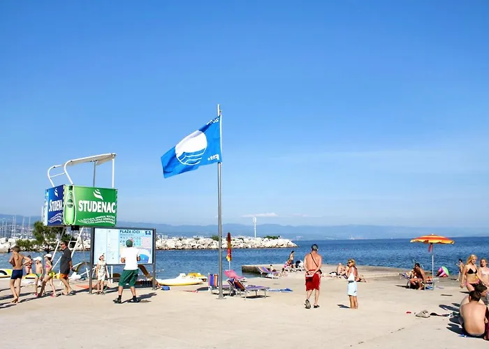 Apartments With Parking Space Icici, Opatija - 7788